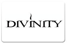 Divinity Tires